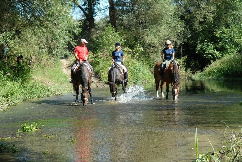 Agroturismo Agriturismo I Moresani