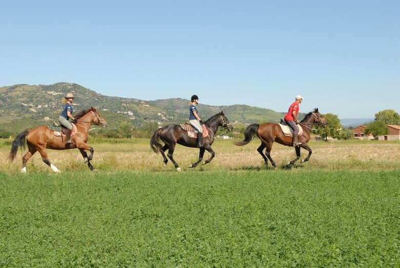 Agroturismo Agriturismo I Moresani