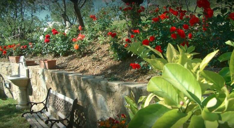 Bed & Breakfast A Casa Di Olivo