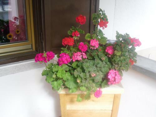 Bed & Breakfast Garni Margherita