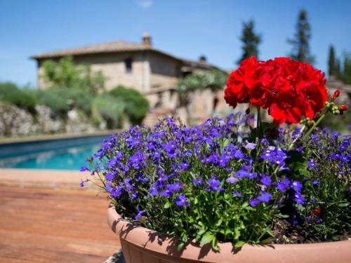 Agroturismo Novelleto