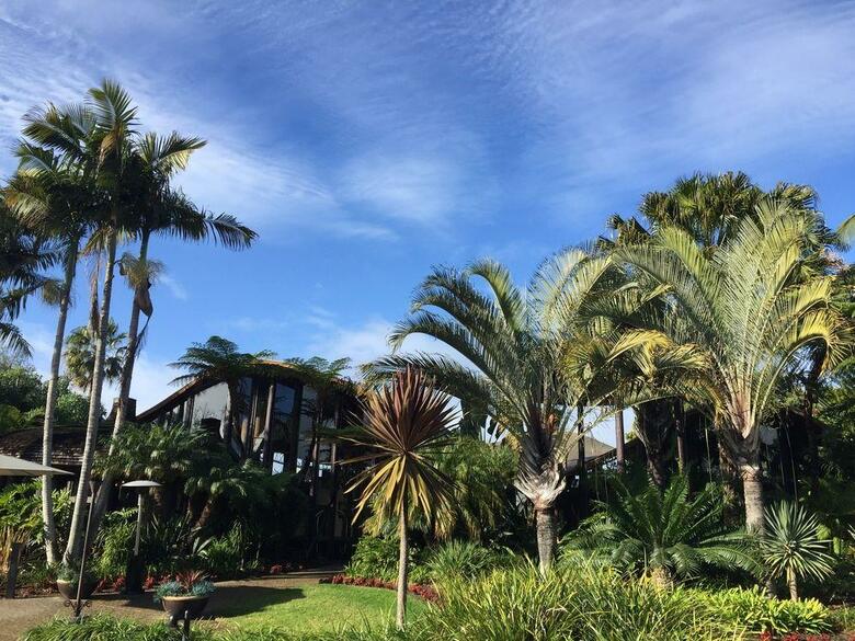 Hotel Paradise Point Resort And Spa
