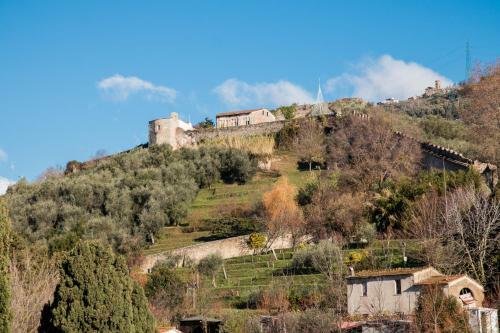 Apartamento Bonnes Vacances A Pietrasanta