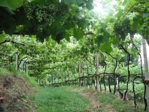 Hostal Zimmervermietung Gr�berhof