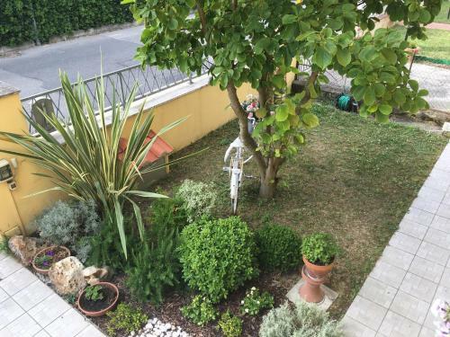 Hostal Affittacamere La Casa Di Ugo