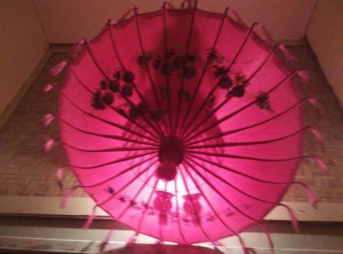 Posada Shwe Pauk Pin Inn