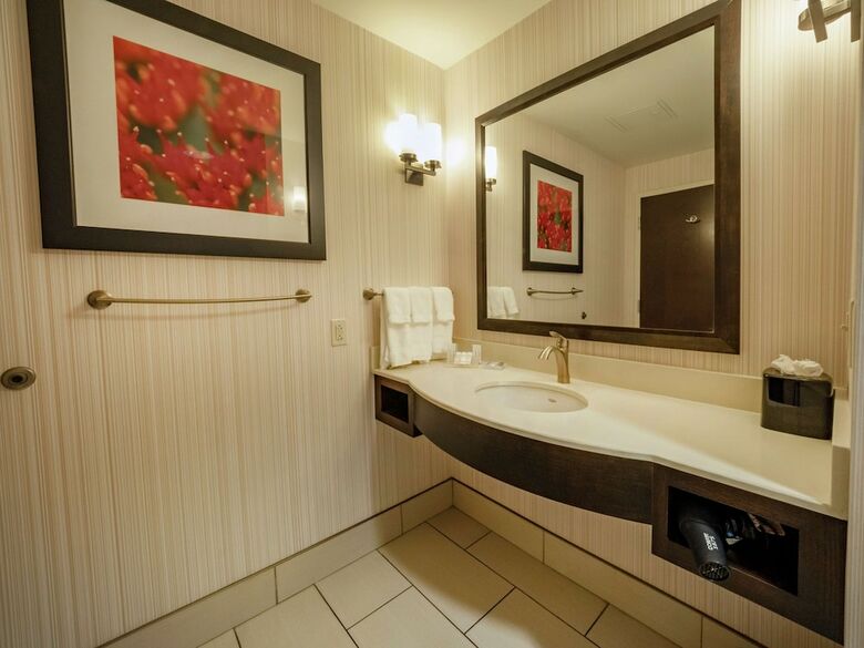 Hotel Holiday Inn Buffalo Downtown
