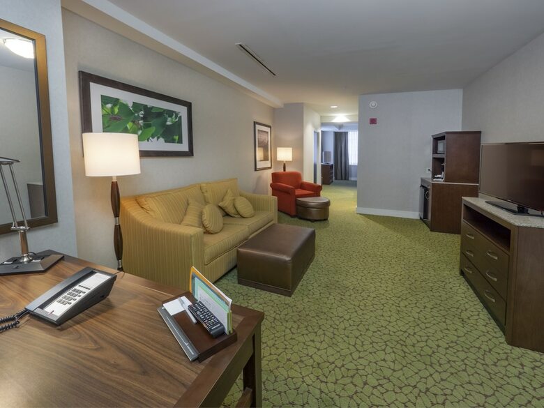 Hotel Holiday Inn Buffalo Downtown