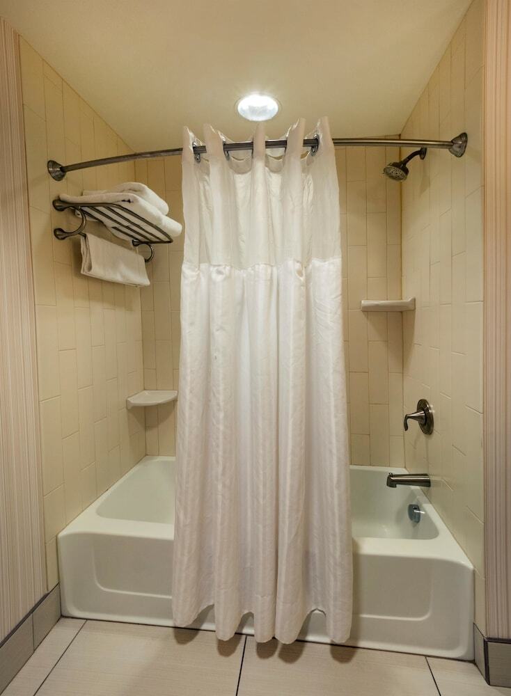 Hotel Holiday Inn Buffalo Downtown