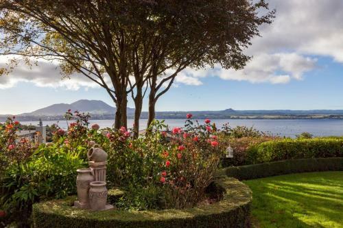 Bed & Breakfast Bellevue Boutique Lodge