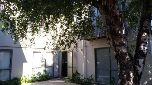 Kiwi House Hostel