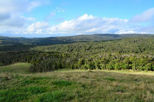 Pupu Rangi Nature Sanctuary