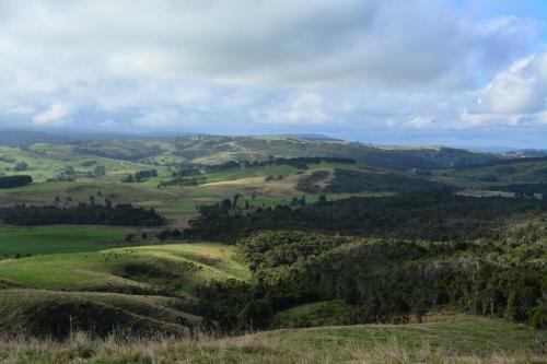 Pupu Rangi Nature Sanctuary