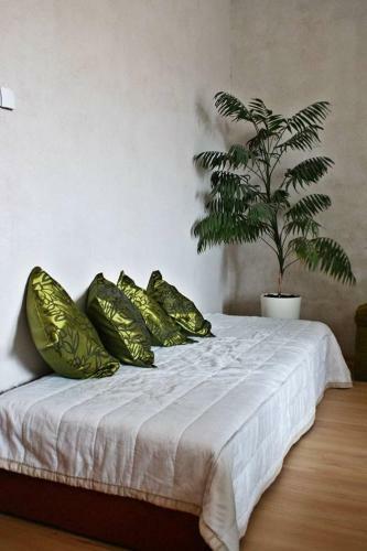 Hostal Bryza Mi?dzyzdroje