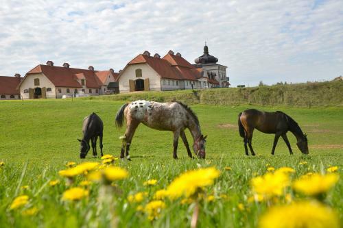 Hostal Stadnina Koni Nad Wigrami