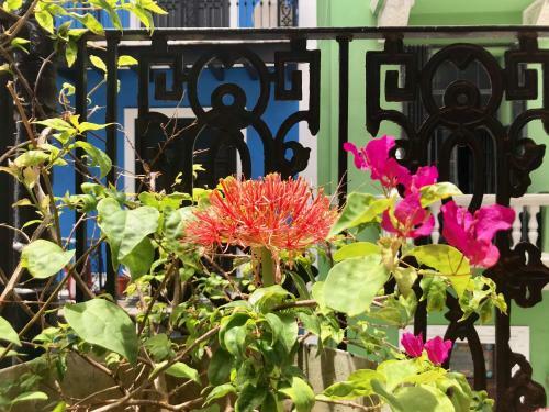 Apartamento Fortaleza Suites II