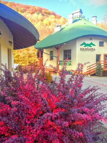 Hotel Solinianka Villas & Spa