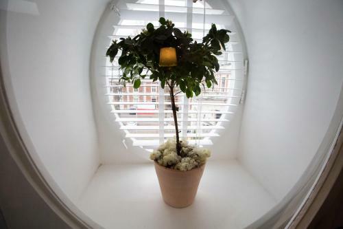 Apartamenty Ambasada