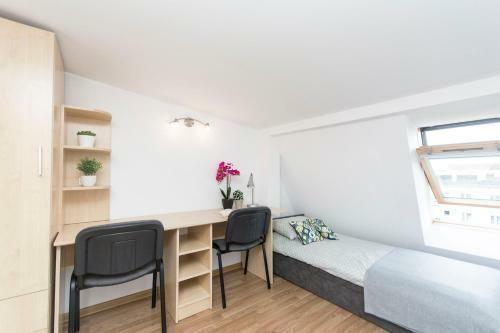 Albergue Akademikus Toru?