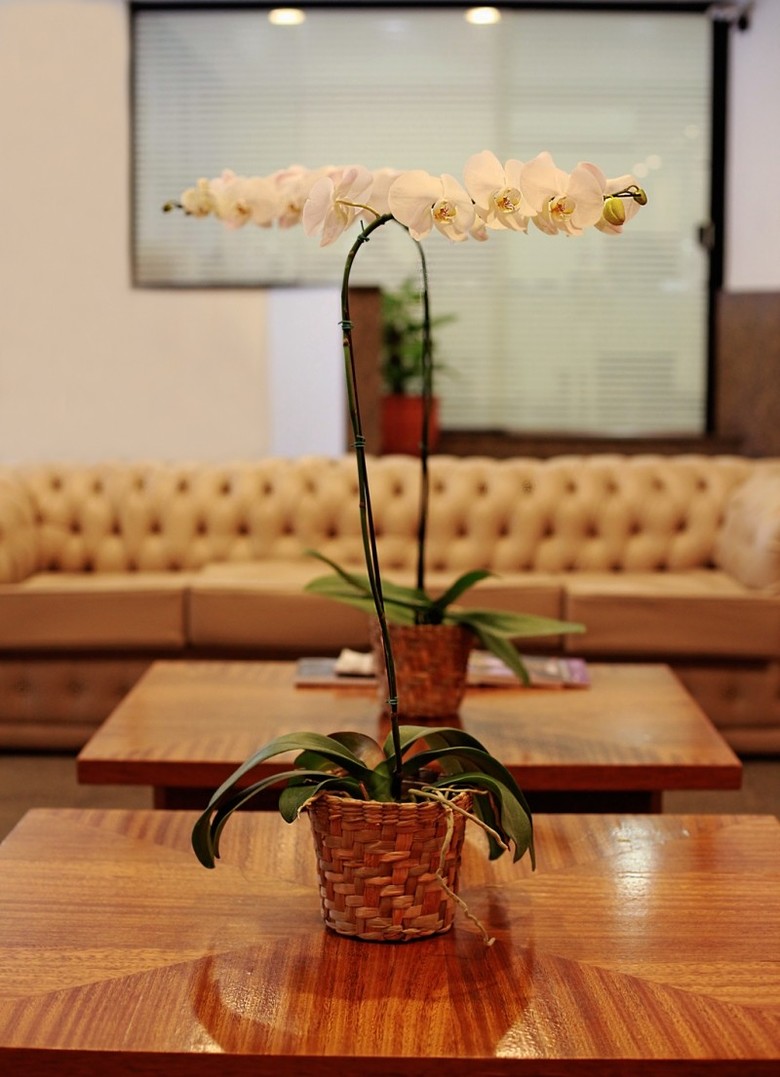 Hotel San Juan Business S�o Paulo