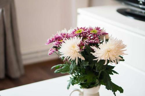 Hostal Penzion Star� Louny