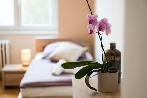 Hostal Penzion Star� Louny