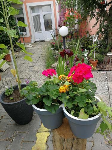 Hostal Penzion Libertas Mari�nsk� L�zn?