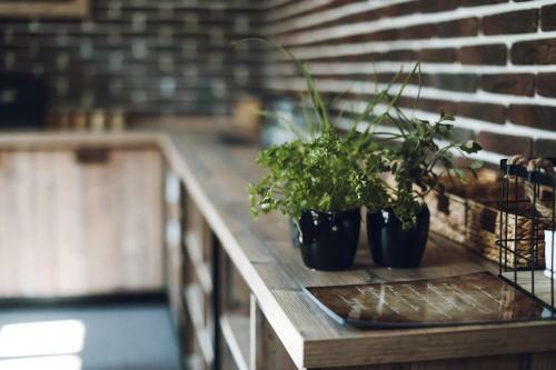 Hostal Penzion U Kubesa