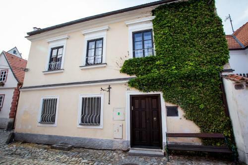 Hostal Pension Premium