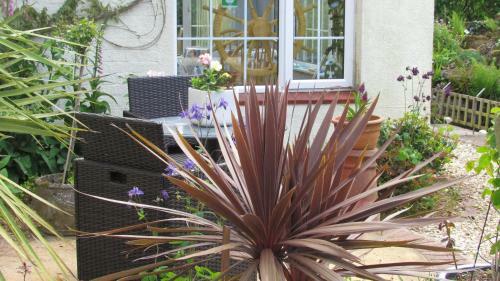 Bed & Breakfast Dovers House