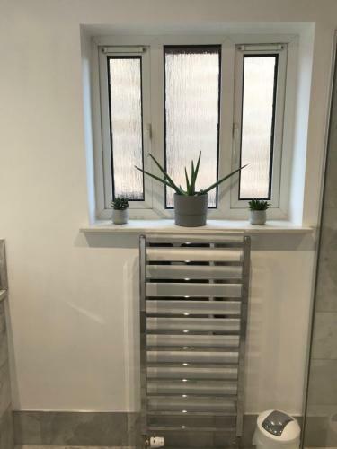 Bed & Breakfast Ravenswood Guest House