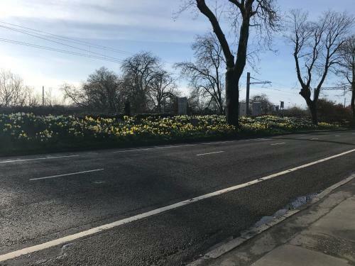 Bed & Breakfast Ravenswood Guest House