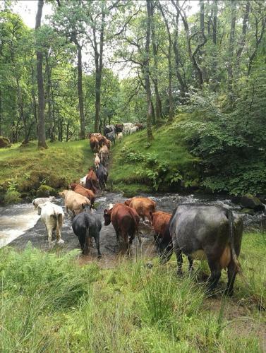 Shemore Farm Holiday Cottage