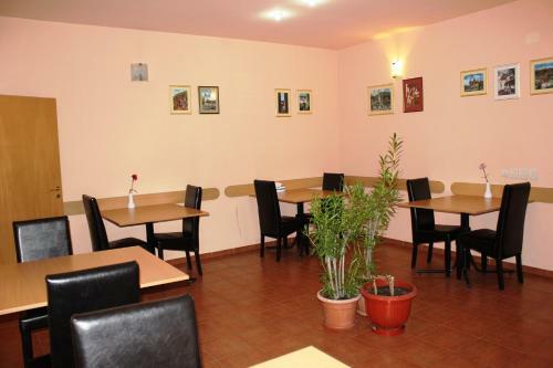 Hostal Pensiunea Paloma