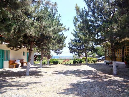 Hostal Pensiunea Sapte Pini