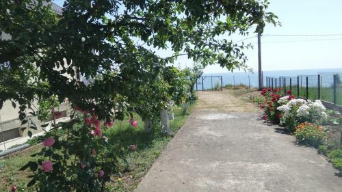 Hostal Pensiunea Sapte Pini
