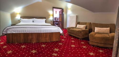 Hotel Elektra Vama Veche
