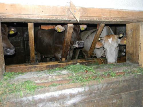 Hostal Pensiunea Teodora Teleptean