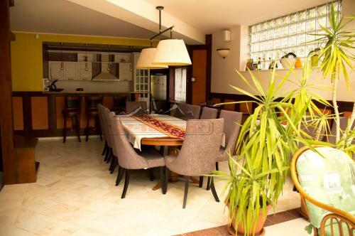 Villa Ski & Adventure Vila