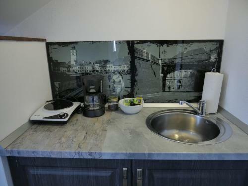 Sibiu City Center Apartments