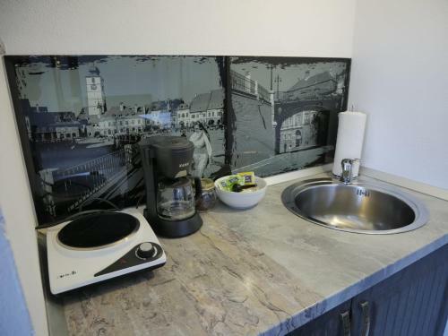 Sibiu City Center Apartments