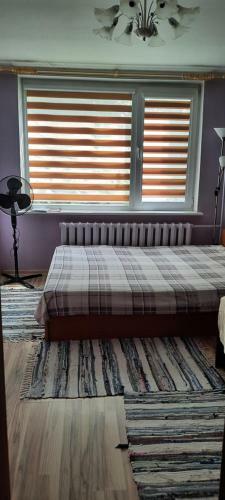 Apartamento Day & Night Anyk??iai