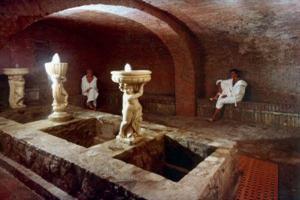 Hotel Delle Terme