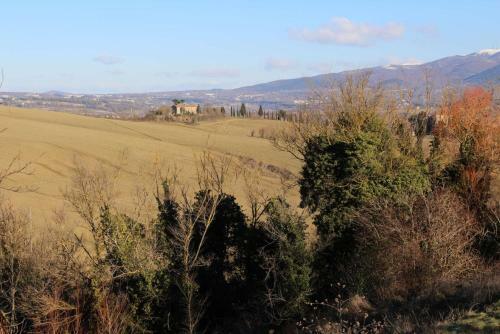 Bed & Breakfast Il Poggio Del Tartufo