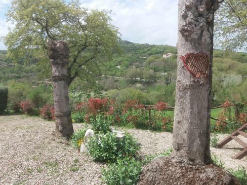 Agroturismo Casa Vacanze La Poderina