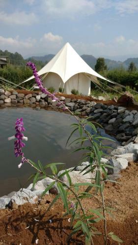 Acatitlan Glamping