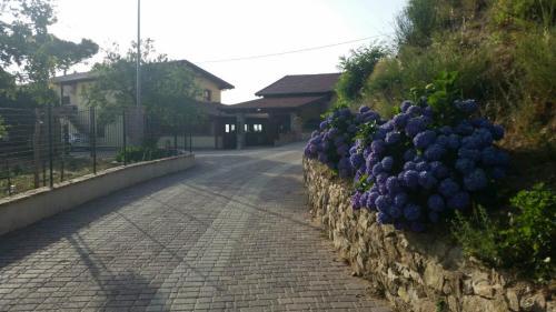 Agroturismo Agriturismo La Pigna