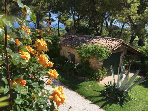 Hostal Il Colle Delle Terrazze