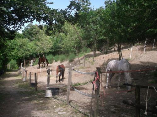 Agroturismo Agriturismo Le Giare