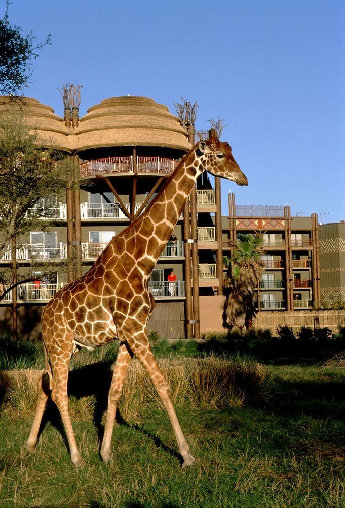Hotel Disney's Animal Kingdom Lodge